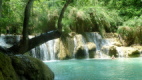 Chute